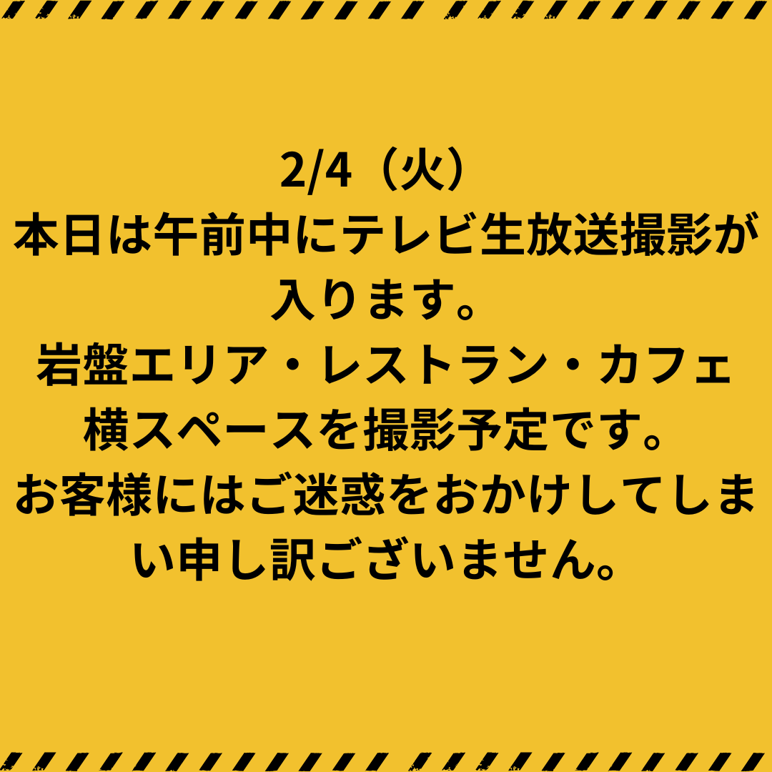 2/4（火）テレビ生放送撮影について